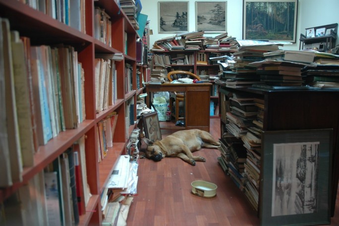 Kadikoy Bookstore