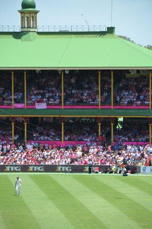 Ashes 2013-14